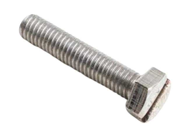 Slotted Bolts